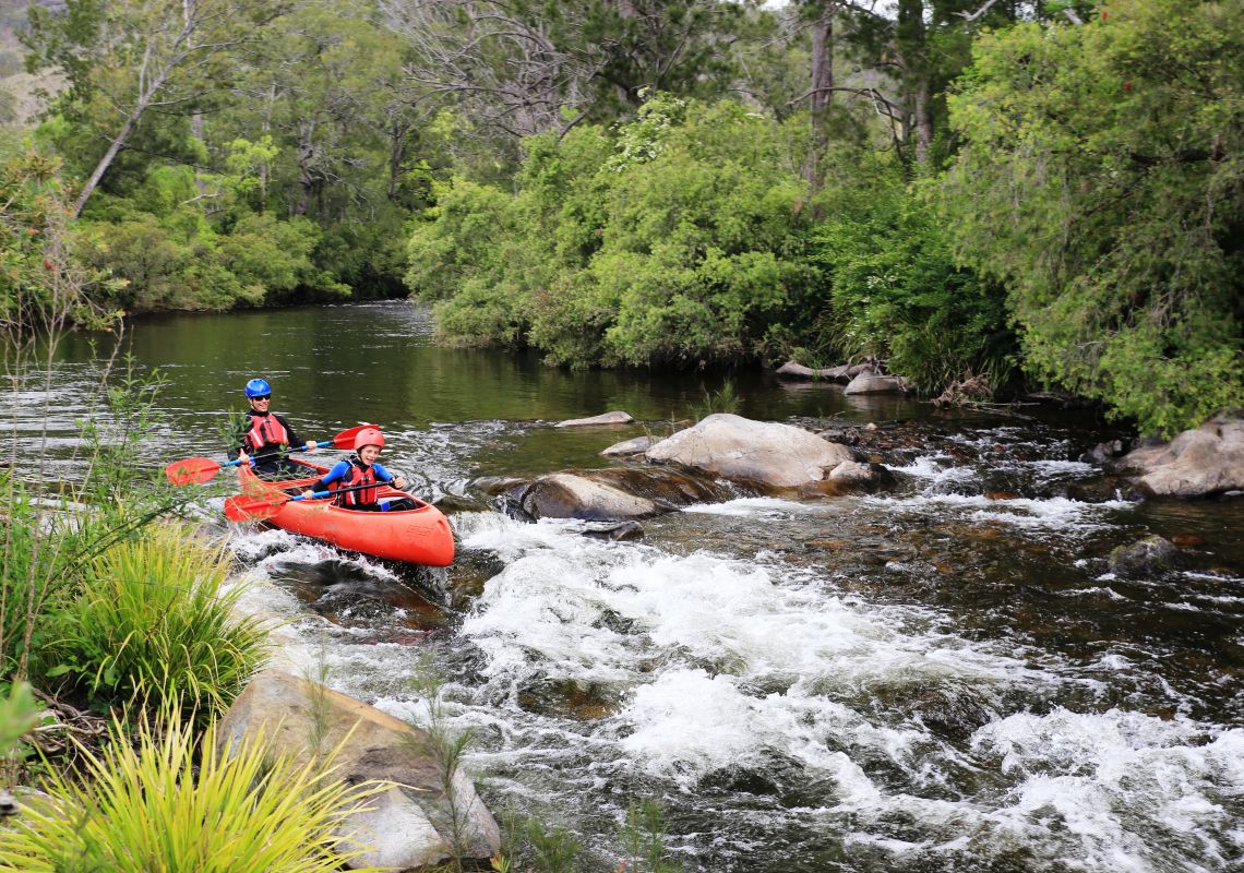 Barrington Tops NSW Things to Do, & Camping